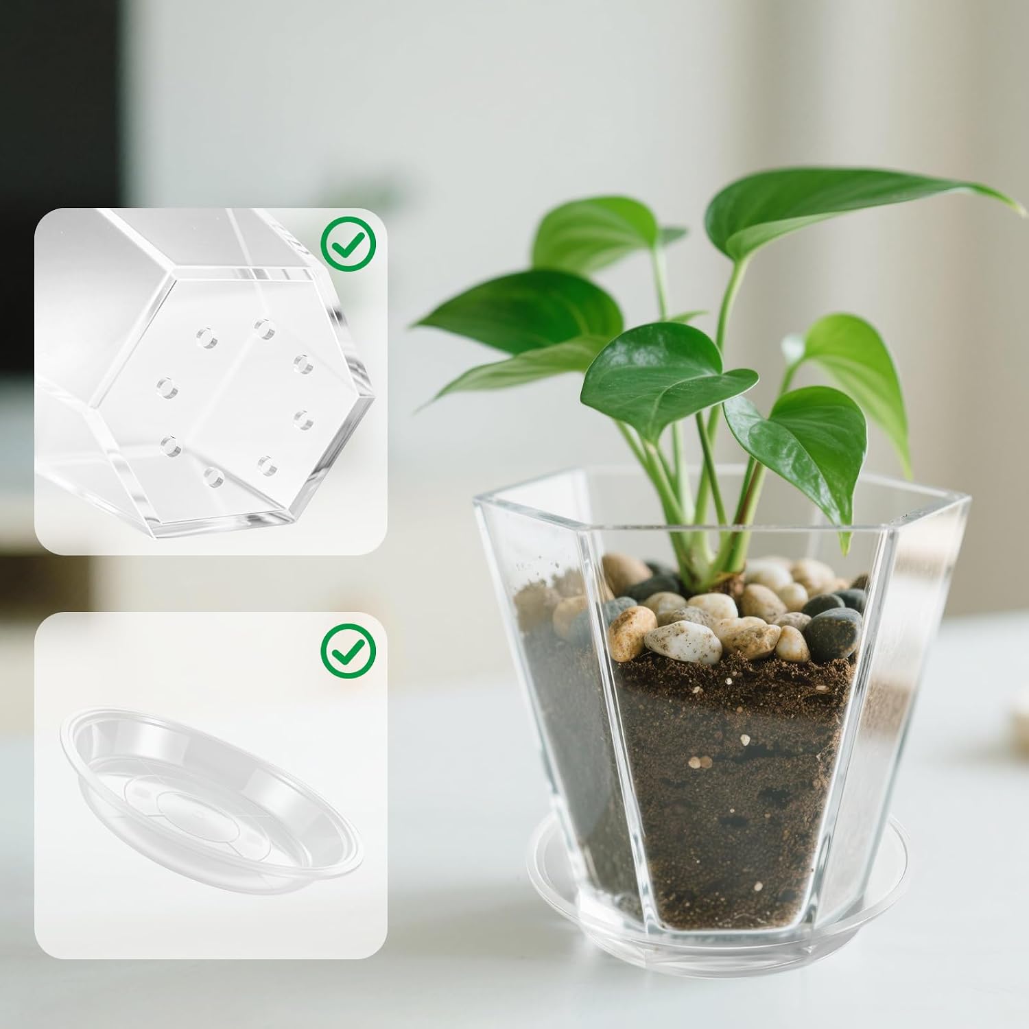 Clear Plant Pot with Drainage Acrylic 6 inch Plant Pot Small Indoor Planter Box Outdoor with Saucer for Succulent, Decorative and Sturdy