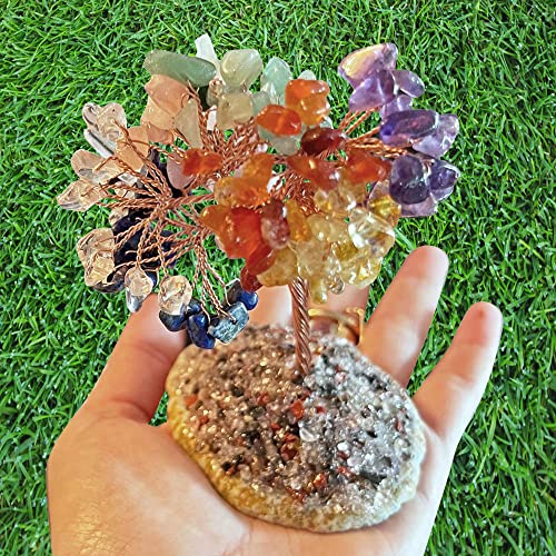 Aviano Chakra Stones & Tree Crystal Healing Collection - 24Pcs - Raw & Tumbled Polished Stone Set - Lava Bracelet - Natural Amethyst Rose Quartz & More - Reference Guide - Balancing Chakras Reiki #TOP2