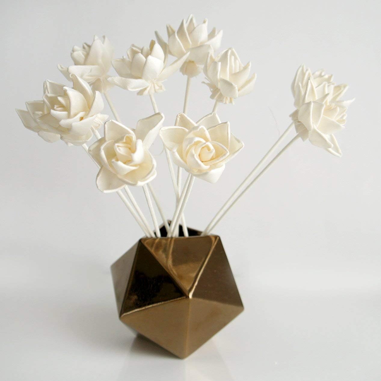 10 Blooming Lotus Sola Wood Flower with Reed Diffuser for Home Fragrance Aroma Oil by Plawanature