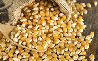 Popping Corn 500g - Popcorn Kernels for Popcorn Machine Maker or Oil Pan Popped   Add Your Flavouring / Seasoning   Perfect Cinema Style Movie Night Homemade Pop Corn - PURIMA - 500g Bulk Packaging