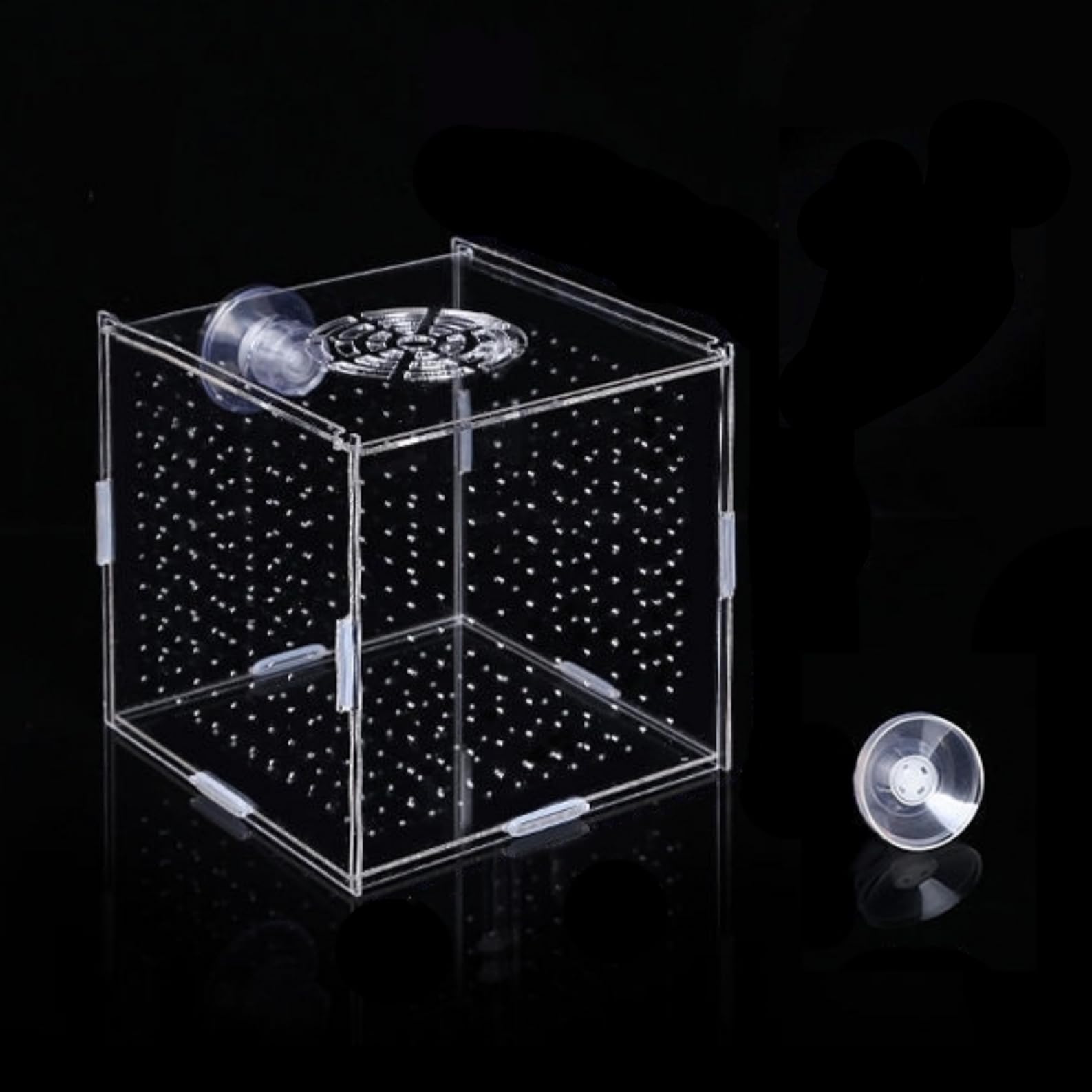 Acrylic Fish Breeding Box, Acrylic Insulation Box, Aquarium Fish Separator for Aquarium Aquarium Fish Breeding Box
