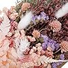 Real Dried Flowers, Natural Dry Flowers Mixed Natural Pressed Flowers Flores Secas Dried Florals for Crafts,Resin,Candle Making (Multicolor 2) #4