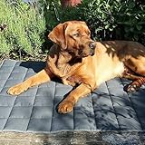 your GEAR Lana Hundematte XXL 120x80 cm – Hundedecke für große Hunde waschbar 60°C – Wasserdicht & Robust – Baumwolle Hundekissen – Auto Kofferraummatte – XXL Haustiermatte