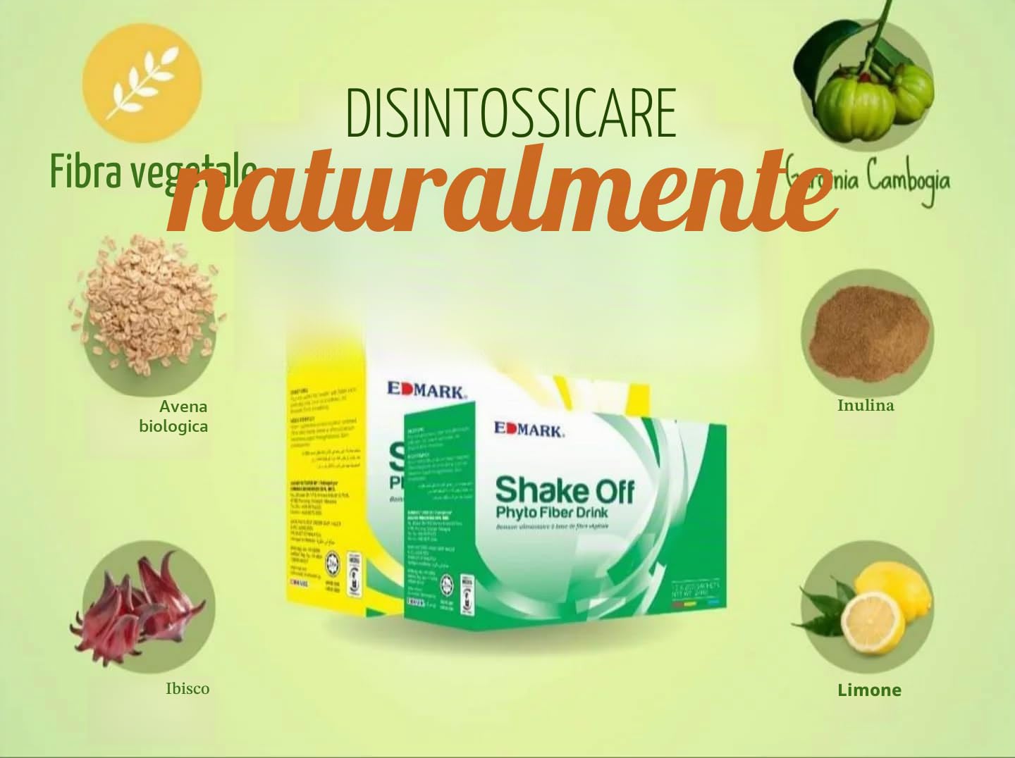 EDMARK Shake Off | Pandan Phyto Fiber Drink | 20g x 12 Bustine | Salute intestinale | Digestione sana | Supporto della fibra di regolarità | Detox | Benessere quotidiano | Facile mix