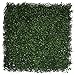 Greensmart DÃ©cor Artificial Boxwood Ficus 20