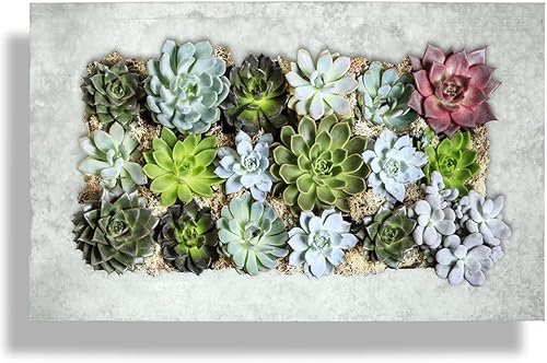 Vista 64 de Vandue Modern Home Living - Maceta suculenta de acero galvanizado de acero galvanizado (zinc envejecido, 16 bolsillos)