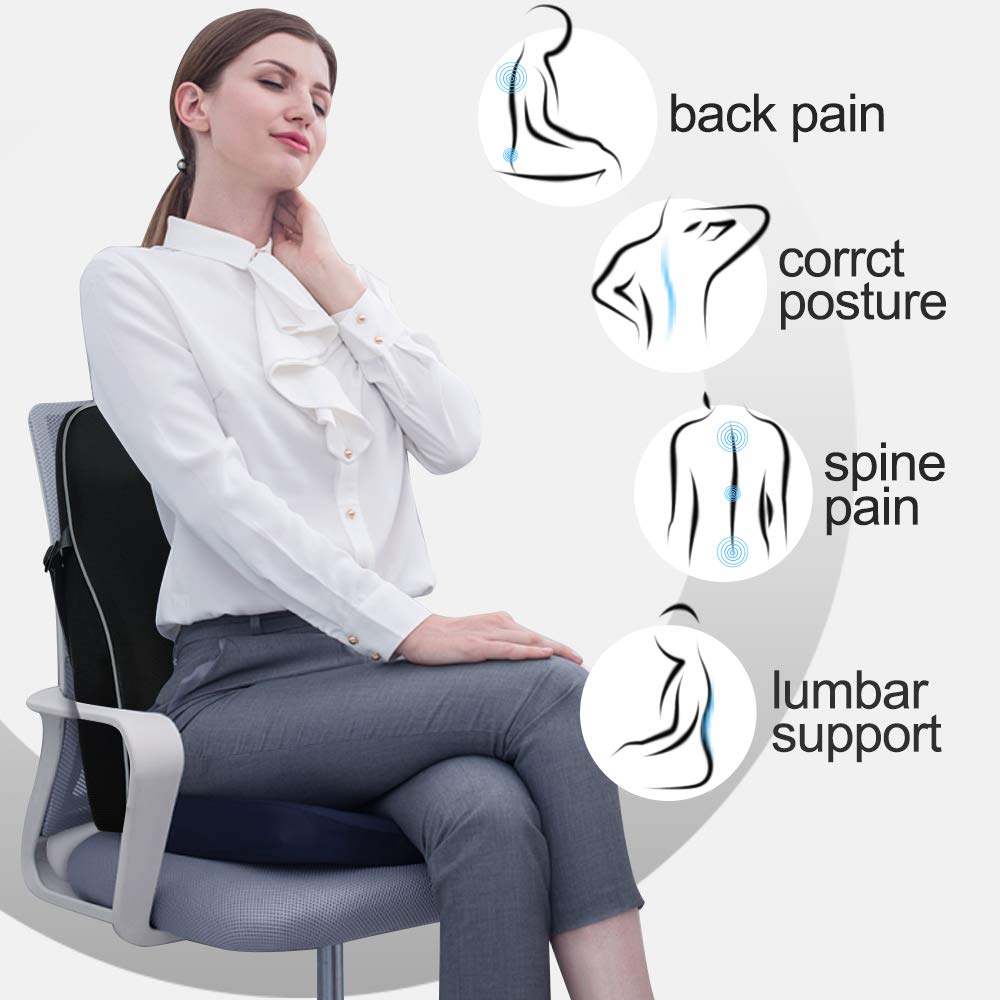 Powsure Back Support for Office Chair, Memory Foam Lumbar Support Pillow with 3D Mesh Cover, Large Breathable Ergonomic Lower Pain Relief Orthopedic Back Cushions for Car Seat, Wheelchair, Recliner: Industrial & Scientific