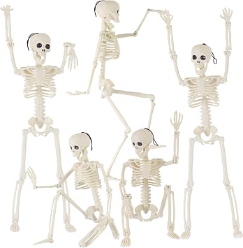 Feir 16" Skeletons Halloween Decorations 5PCS Posable Full Body Skeletons with Movable Joints, Realistic Props for Outdoor Yard, Haunted House, Party & Indoor Halloween Decor