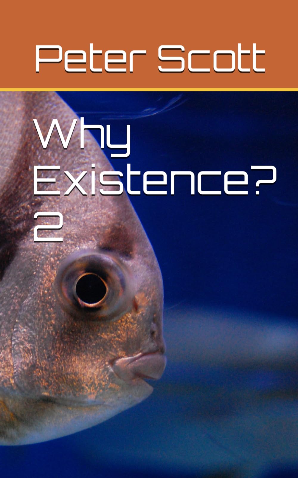 Why Existence? 2
