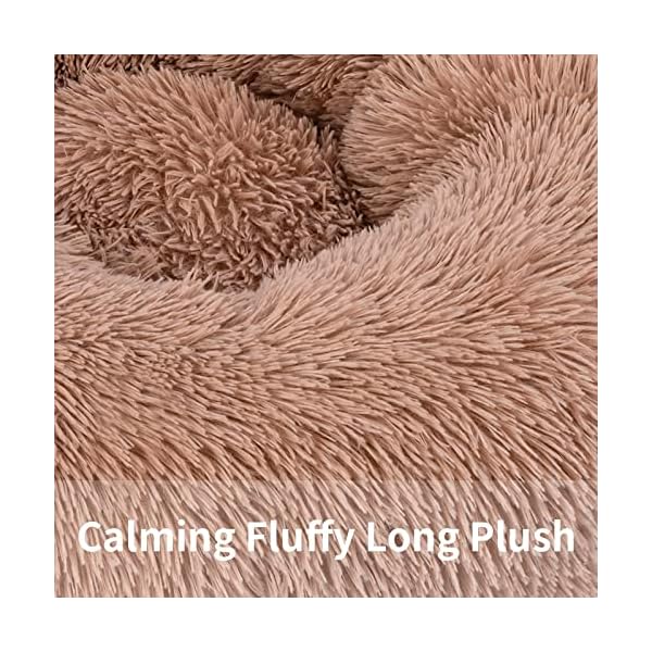 Anti Anxiety Dog Beds & Cat Beds | Reduce Pet Stress & Anxiety - [Brand Name]