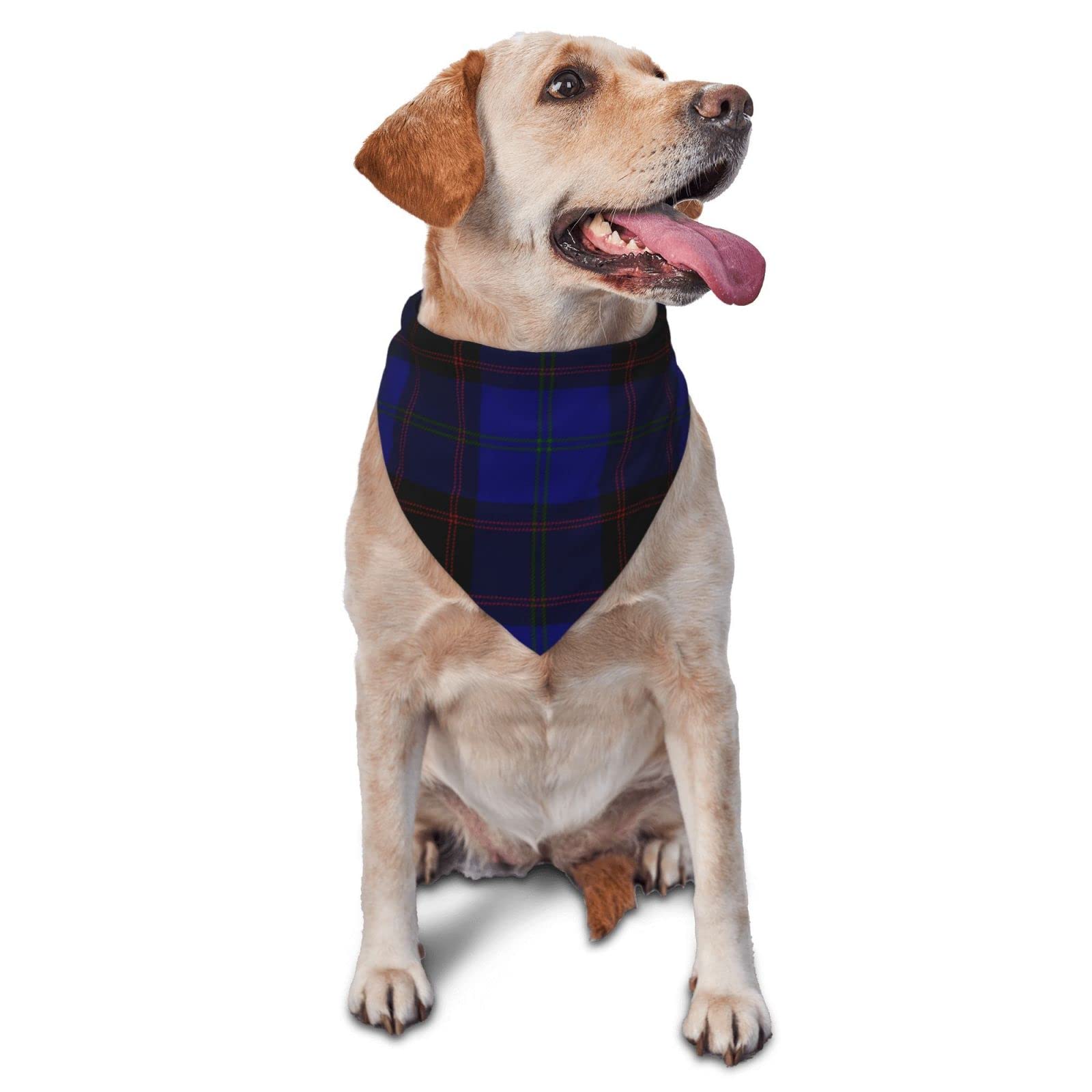 Sipeigyd Pet Triangle Scarf, Home Tartan Blue Black Plaid pet cat and Dog Scarf, Pet Clothing Accessories, Plaid Pet Scarf, for Small to Large Dogs Cats