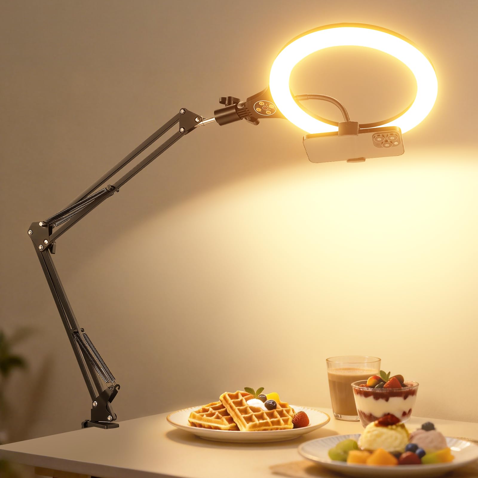 NEEWER Entry Level Version 10.5" Overhead Desktop LED Ring Light, Clamp Stand for Desk/Remote/Phone Holder Compatible with iPhone, 10W Streaming Recording Selfie Laptop Video Conference Lighting, N31