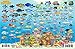 Panama Caribbean Coral Reef Creatures Guide Franko Maps Laminated Fish Card