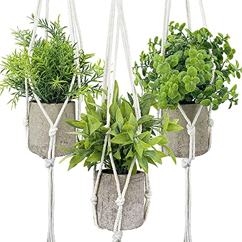 10 Best Our Top 10 Artificial Hanging Plants In 2021 of 2022