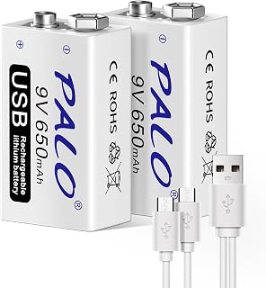 CITYORK 2 Pack 9V USB Rechargeable Battery 650mAh Li-ion with 2 in 1 USB Cable for Keyboard Microphone Smoke Alarm