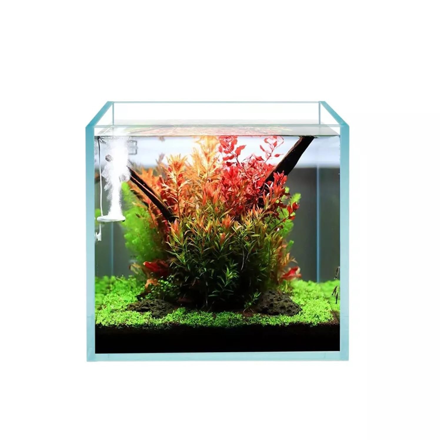 Piccolo acquario ultra trasparente ad alta trasparenza da scrivania in vetro senza cornice ispirazione sudamericana entry-level Fish Tank