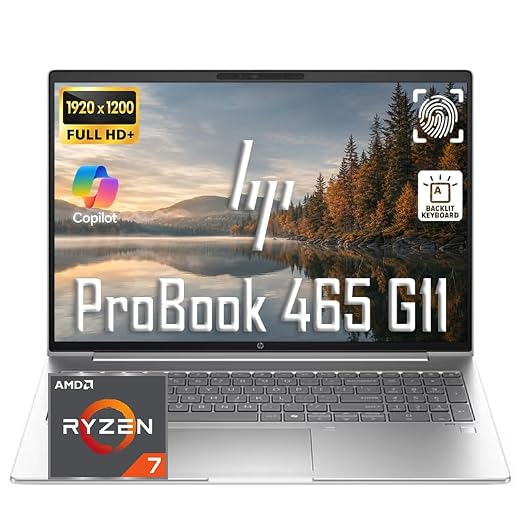HP 17.3" FHD Business Laptop