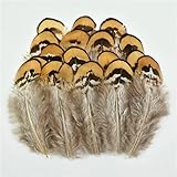 Grandes plumes de paon : les longues plumes de paon peuvent embellir votre vie et rendre votre vie plus colorée. Certaines plumes ont des extrémités fines ou coupées. Certains sont droits, courbés ou tombés sur le dessus. Vous pouvez les courber en suivant votre cœur.