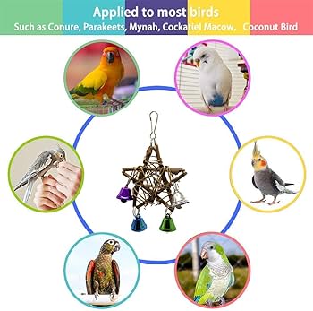 2 Stück Edelstahl Futterspender - Vogelspielzeug Für Wellensittiche & Papageien