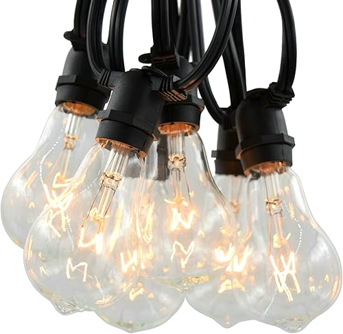 Miniatura 8 de Hometown Evolution, Inc. Cadena de luces Edison vintage de grado comercial para exteriores (ST40 transparente, cable blanco comercial, 25 pies)