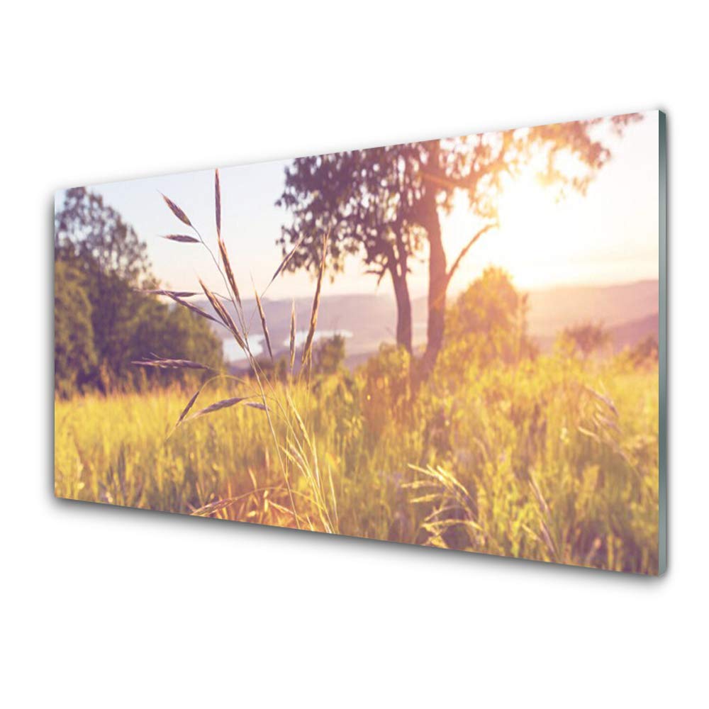 Tableau Verre Trempé 100x50cm pour Apporter la Nature et de la Lumière dans la Maison