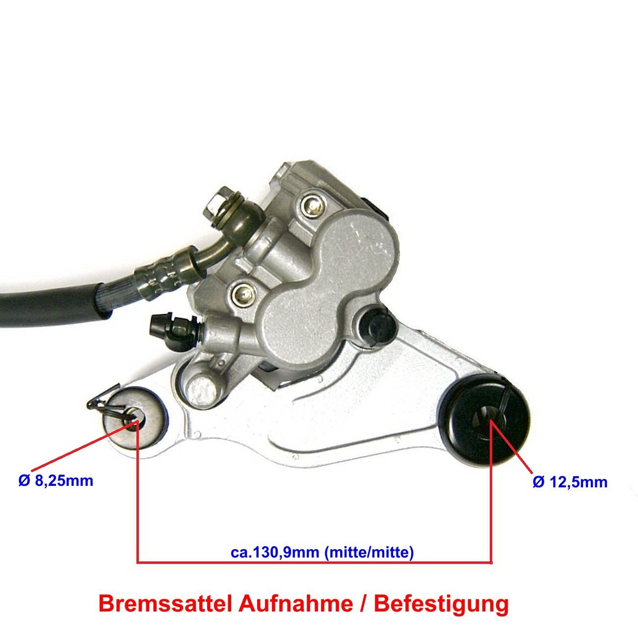 BREMSANLAGE BREMSE vorn komplett für BENZHOU YIYING YY50QT-21 - FIRENZE 50 - ZNEN RETRO CRUISER ZN50QT-E EASY CRUISER BURNOUT NOVA ALPHA MOTORS und baugleiche ROLLER 50-125ccm GY6