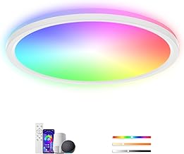 24W Dimmable LED Ceiling Light, 2400LM LED Ceiling Lamp with Remote Control & App, RGB Backlight, 3000K-6500K, Alexa/Google Assistant/Smart Life, for Living Room Bedrooms