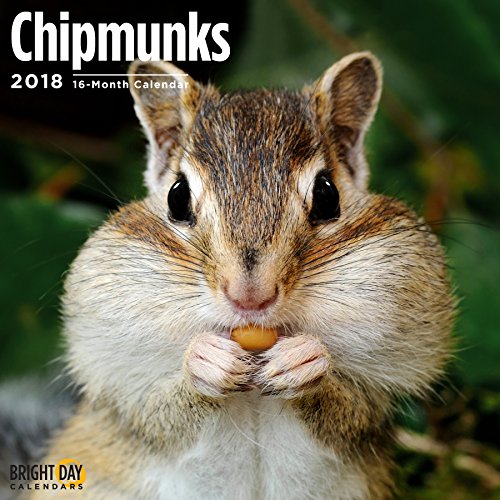 Bright Day Calendars Chipmunks 2018 16 Month Wall Calendar