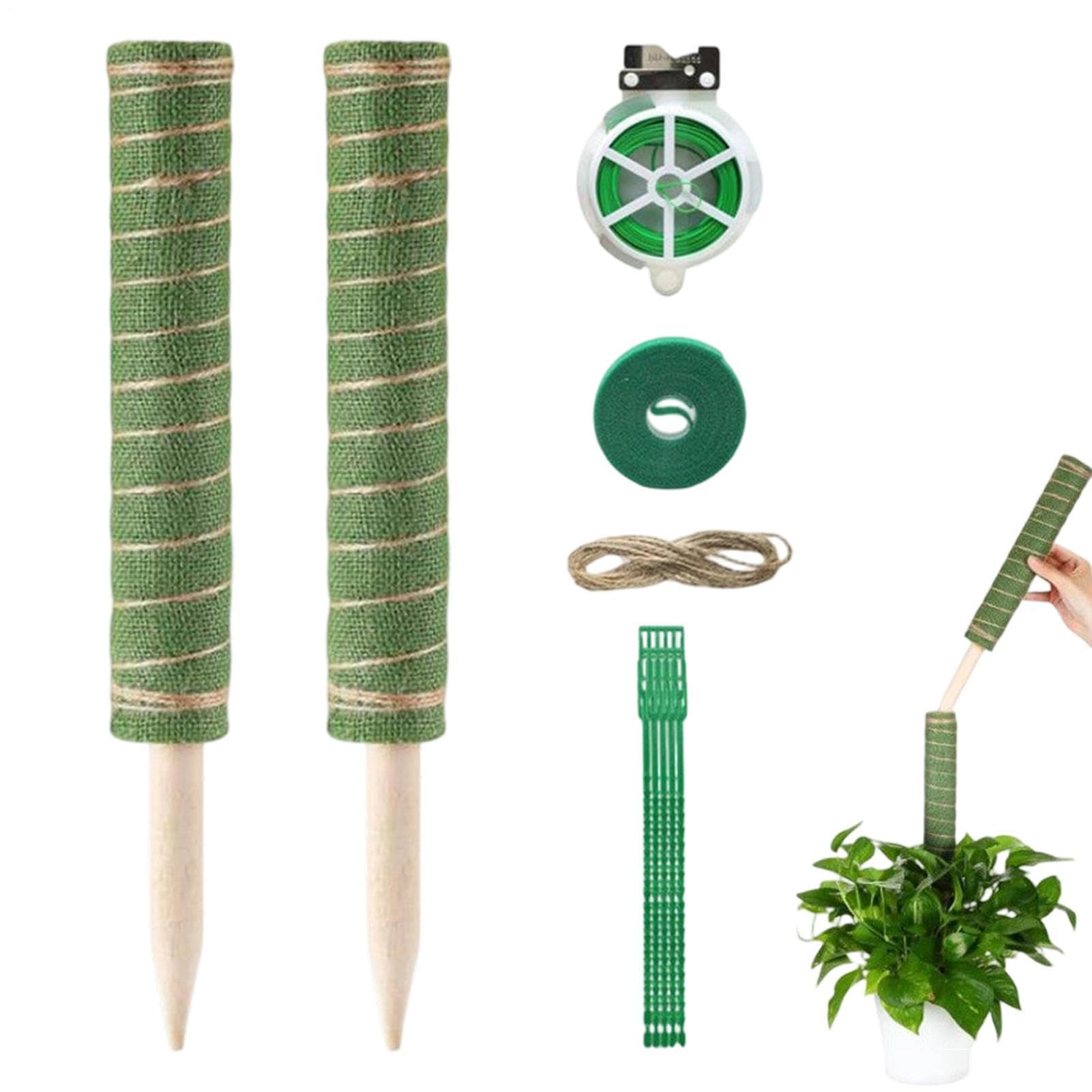 Tuteur pour Monstera Outil de jardinage réutilisable à absorption d'eau | Tuteurs de Support pour s Adapté à l'Intérieur et l'Extérieur Pothos Philodendron Pot Jardinière Balcon Terrasse Jardin