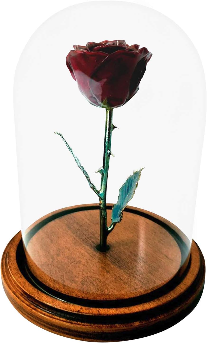 Forever Rose USA Brand - The Beauty and The Beast Rose - Enchanted Rose - This is a Real Rose! ... (Burgundy)