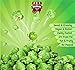 Gourmet Green Apple Flavored Popcorn by It's Delish, 16 Oz Jumbo Container | Bulk Air Popped Pop Corn Snack - Fruity Green Themed Candy Confetti – Gluten Free, Vegan, Kosher, 1 Count