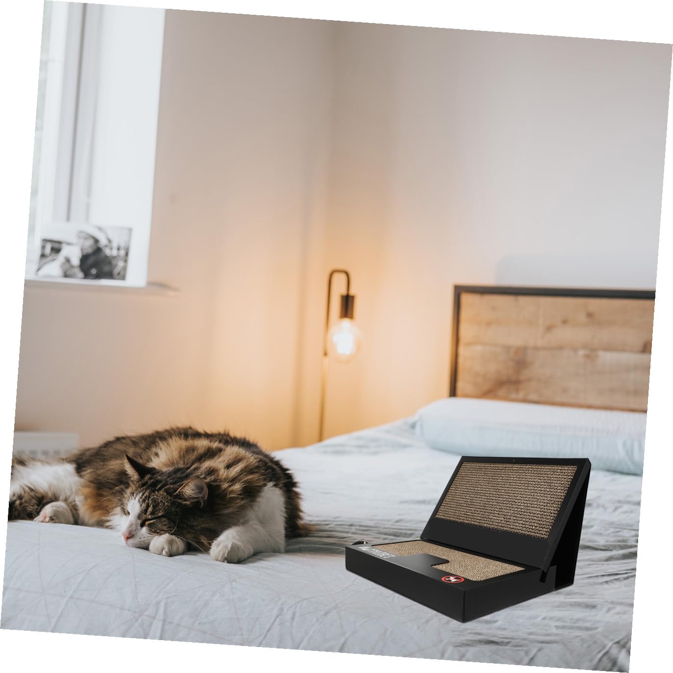 Tavola Tiragraffi per Gatti a Forma di Laptop, Pieghevole e Resistente | Giochini per Gatto a Forma di Laptop, con Bacchetta Teaser, Cartone Ondulato Nero per Casa
