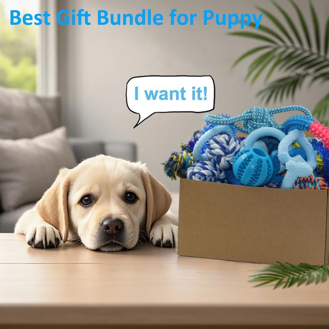 Beiker Paquete de 20 Juguetes masticables para Cachorros, Juguetes de dentición Azules para Cachorros, Juguetes para Cachorros, Anillos de dentición y Cuerdas duraderas, Paquete de Juguetes de Goma
