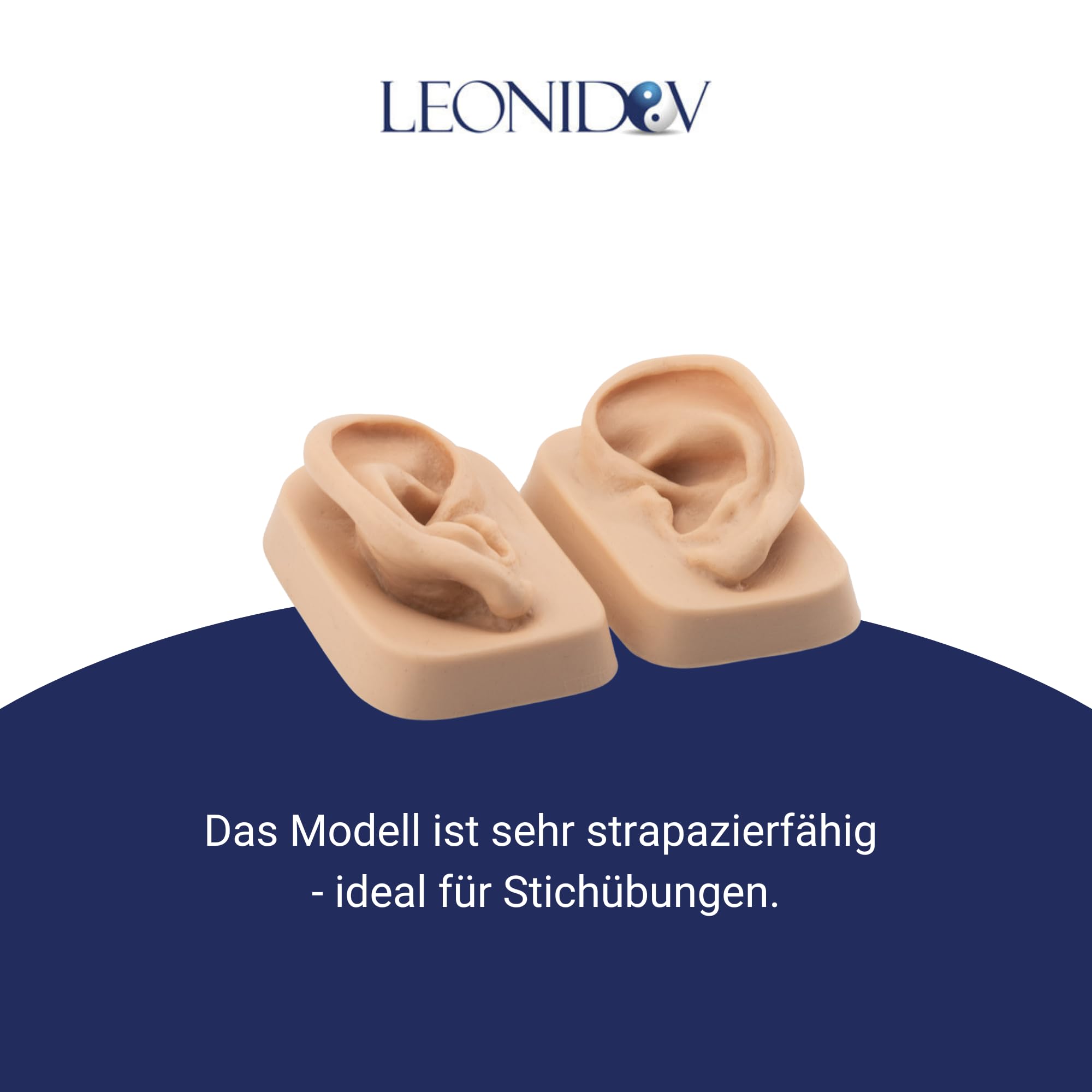 Ohrmodell (Paar) für Ohrakupunktur aus weichem Kunststoff in Originalgröße - Leonidov