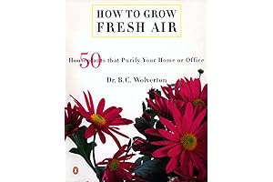Indoor Plants for Fresh Air: The Ultimate Guide to Growing Houseplants for Indoor Air Purification