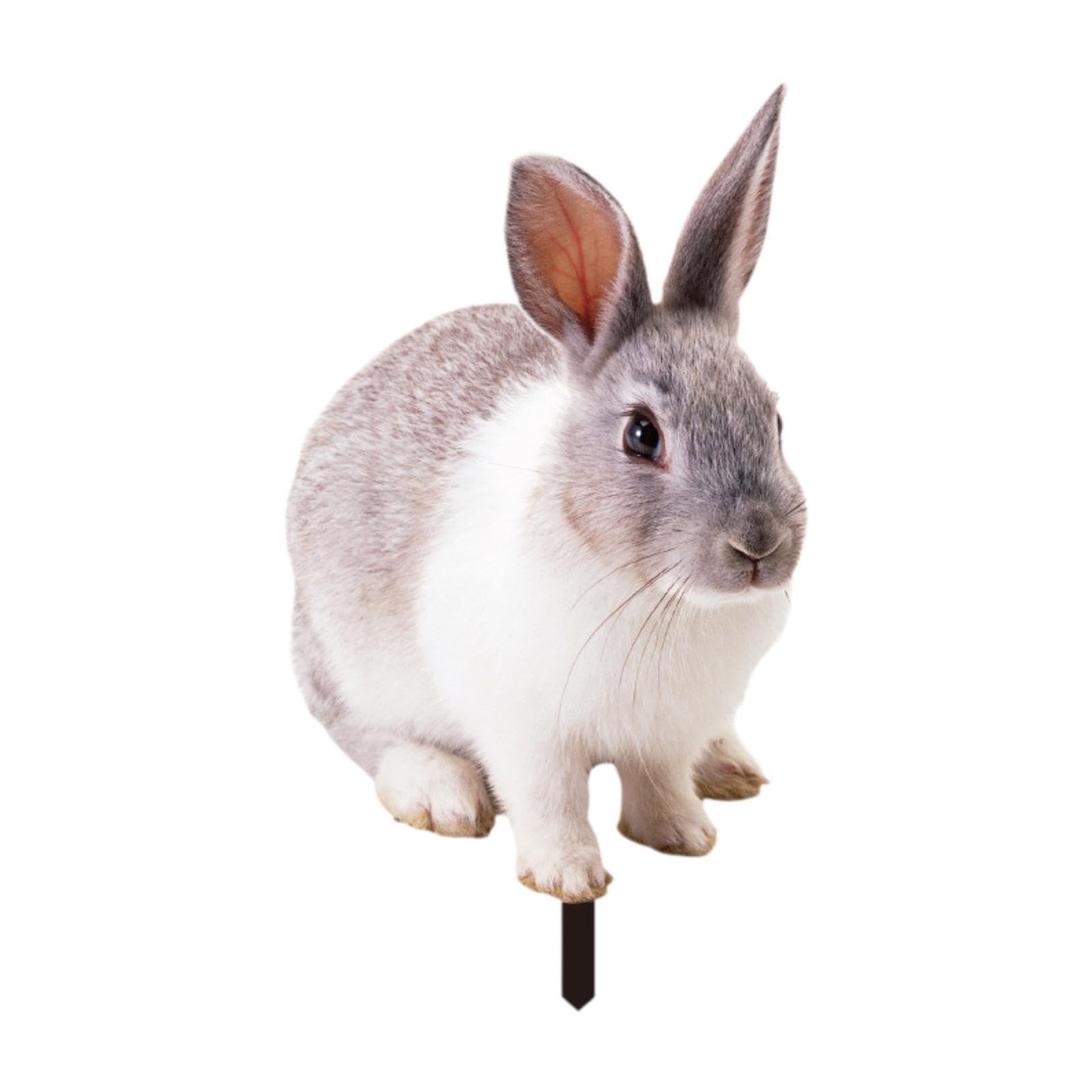 Figurine en acrylique lapin pour décoration extérieure de cour et maison