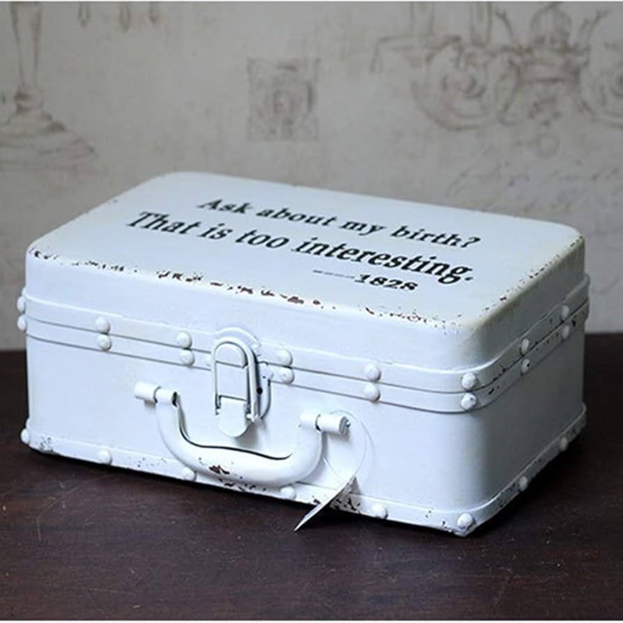 1205 ③2個セット　蓋付　レトロなアルミケース　バット　収納箱　ビンテージ 1205 ③2個セット 蓋付 レトロなアルミケース バット 収納箱 ビンテージ