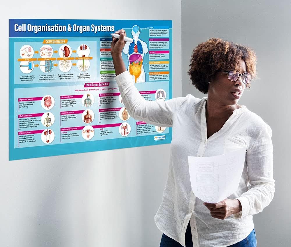 Tipos De Estructuras | Pósteres De Diseño Y Tecnología | Papel Brillante De 850 Mm X 594 Mm (A1) | Diseño Y Tecnología Aulas | Carteles Educativos De Daydream Education