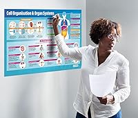 Vista 2 de Daydream Education Póster de organización celular y sistemas de órganos, tamaño extragrande, 33 x 23.5 pulgadas, papel brillante, decoración de aula