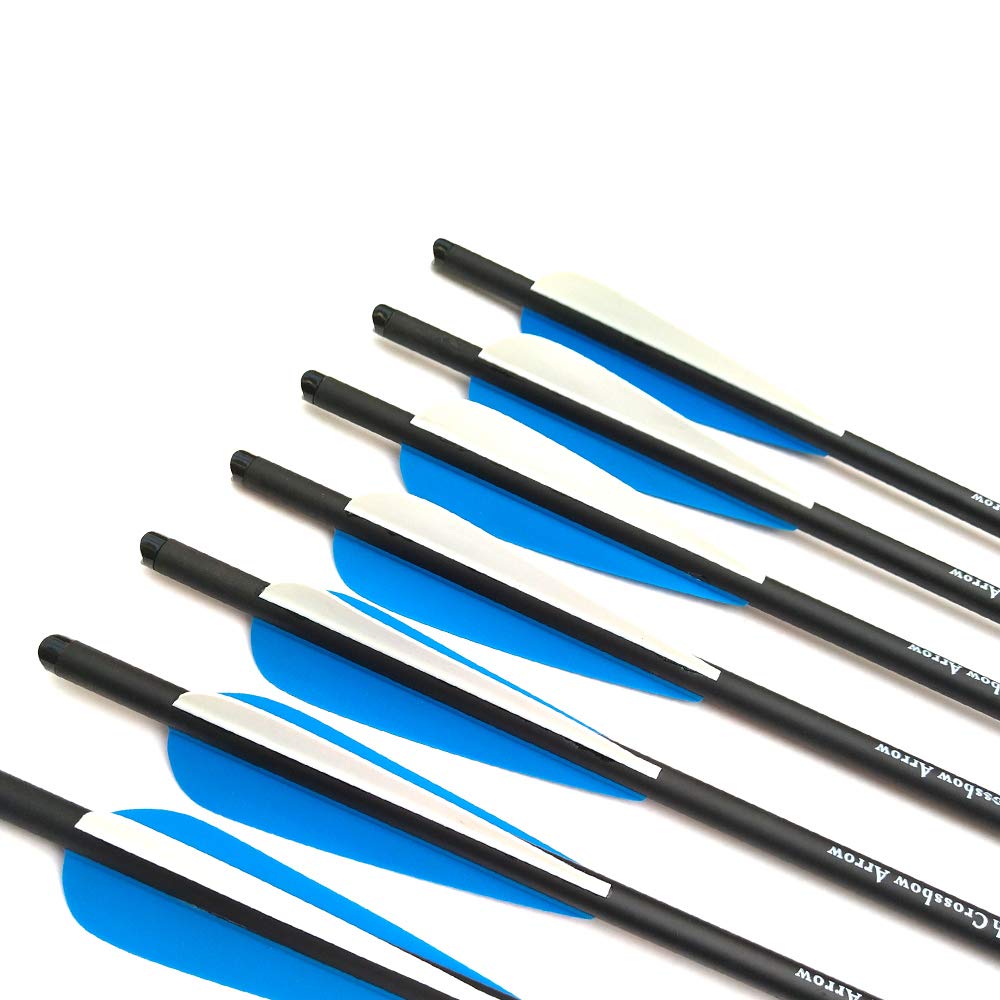 12 Pezzi Frecce per Balestra 22 Pollici Carbonio Frecce per Tiro con L'Arco per Balestra (Blu, 22Inch)