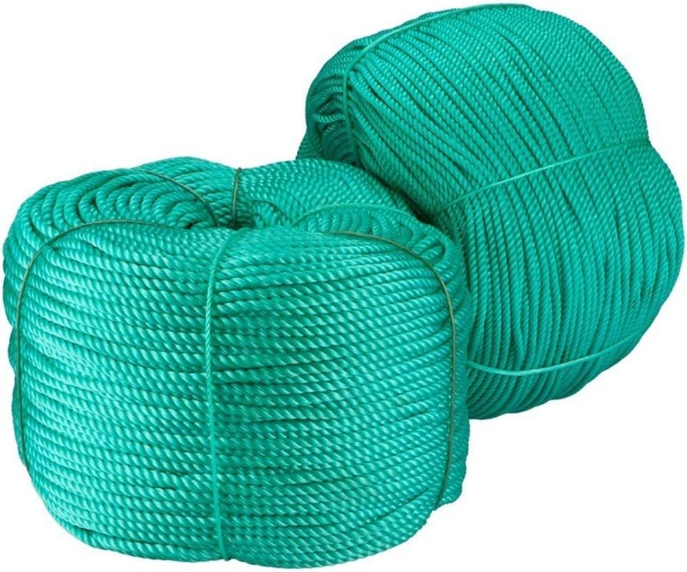 MOMOJIA Nylon Twisted Twine, 1MM-12MM Diameter Polyethylene Rope Nylon Weave Twisted Twine High-Strength Garden Bundling Plant Netting Home Improvement Craft (Color : 6mm 100m)