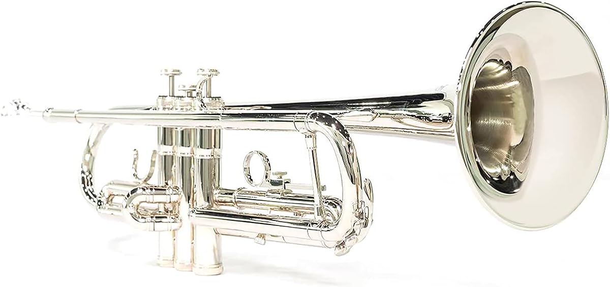LeSage Nickel Silver Trumpet Standard Bb Brass Intermediate Trumpet for Beginner Student Trumpet with Case Gloves Cleaning Kit 7C Mouthpiece Silver : Musical Instruments