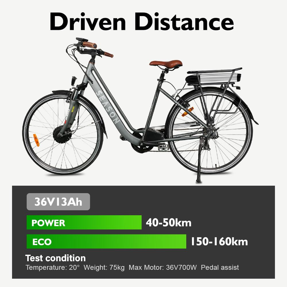 E-Bike Batterie 36V Li-ion Akku Dolphin Gepäckträgerbatterie mit Ladegerät Reflektor, Passend für Phylion/XH370-10J, Zhenlong, Aldi, Alurex, Mifa, Rex, Trio (36V 13Ah Batterie mit Ladegeräte)