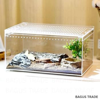 【ヘルズ】爬虫類ケージ×5 アクリル　マグネット ヘルズ】爬虫類ケージ×5 アクリル マグネット 61EDzkvr+vL