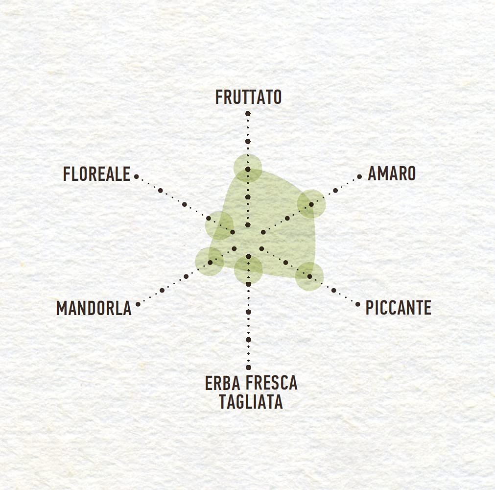 Costa d’Oro – L’Extra . Olio Extravergine di oliva estratto a freddo. Sapore equilibrato, adatto a tutte le ricette e come condimento per insalate. Latta da 5 litri, 1 - Immagine 2
