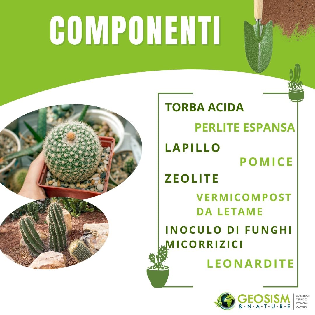 GEOSISM & NATURE - Terriccio per piante grasse, terriccio cactus, substrato professionale per cactacee e succulente, ideale per un terreno dreanto, areato, leggero e ricco di nutrienti (10 lt)
