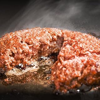 [幸生牛] 【ふるさと納税限定】幸せを運ぶ牛《幸生牛》希少牛 ハンバーグ 150g×4個 山形県 寒河江市【入金確認後45営業日以内にお届け】007-D-YL056