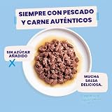 Ver la foto 2