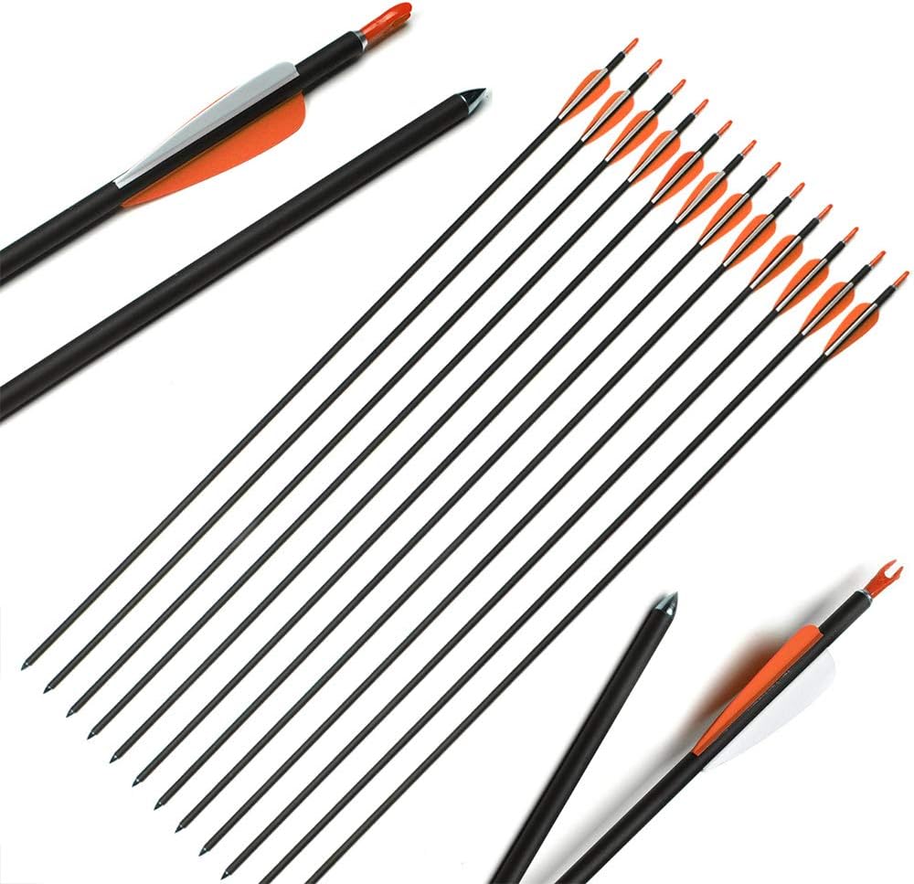 ANTISR 30" Carbon Arrows OD.275 with Interpolated Tips and Anti-Nail Nock for Compound & Recurve Bow(Pack of 12,Black) : Sports & Outdoors