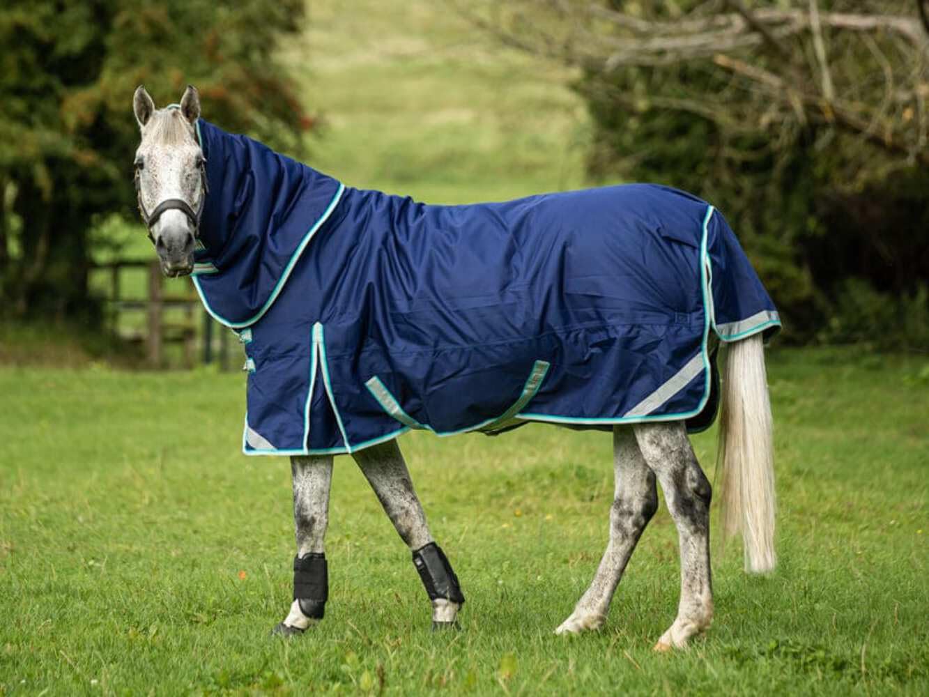 Swish Equestrian 100g Detachable Neck Turnout Rug - Navy 1200denier